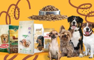 Četiri psa i vreće sa hranom Bonacibo,Kucho,Kennel,Prince i Royal Canin