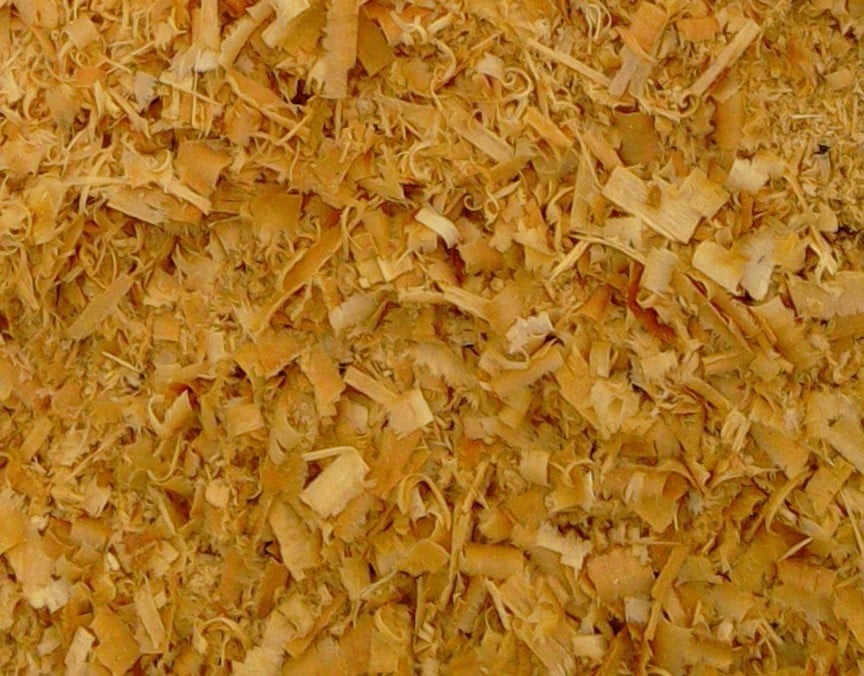 piljevina za glodare