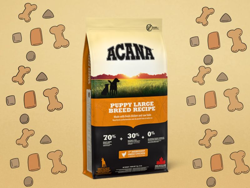 ACANA Puppy Large Breed hrana za pse, zlatna pozadina i grafikon granula u pozadini