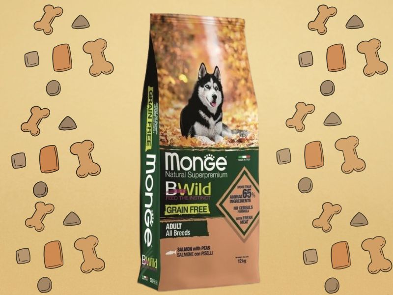 Monge BWild Grain Free - Losos i grašak, zlatna pozadina sa grafikom granule u pozadini