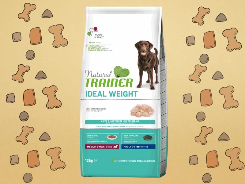 Hrana za pse Natural trainer ideal weight hrana za odrasle pse sa piletinom, zlatna pozadina sa grafikom granula u pozadini