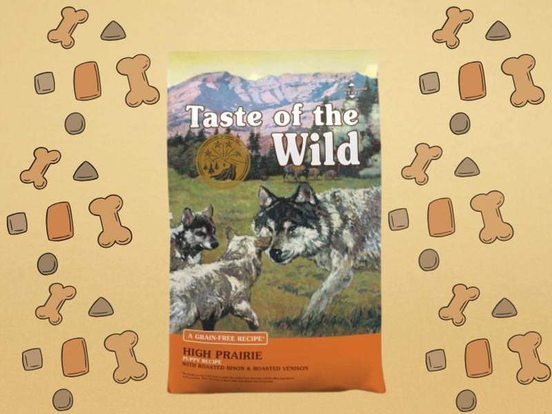 Taste of the Wild puppy High Prairie - sa pečenom srnetinom i bizonom, zlatna pozadina sa grafikom granule u pozadini