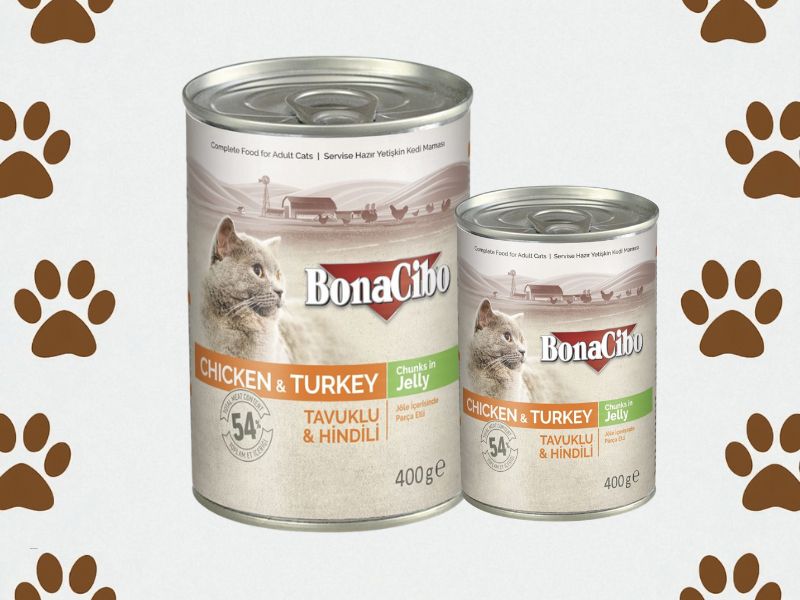 bonacibo konzervirana hrana za mačke na neutralnoj pozadini sa mačijim šapama