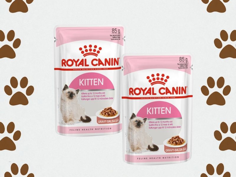 Royal canin wet kitten gravy hrana za mačke na neutralnoj pozadini sa mačijim šapicama
