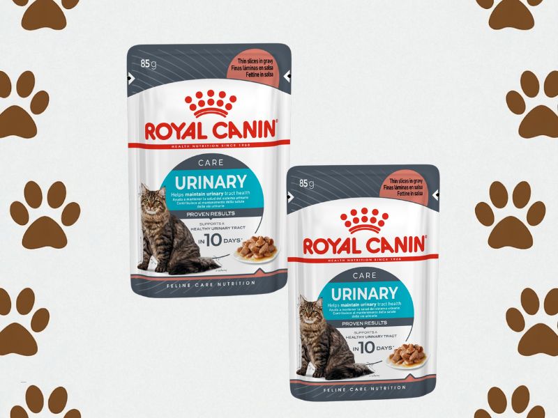 Royal canin wet urinary care na neutralnoj pouadini sa mačijim šapicama