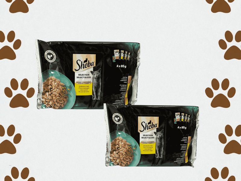 Sheba sosići za mačke na neutralnoj pozadini sa maijim šapama