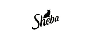 Sheba - BRENDOVI