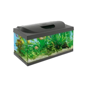 Tetra Starter Line LED 54L akvarijum kompletan akvarijum set